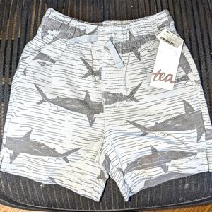 Tea shorts size 4t NWT